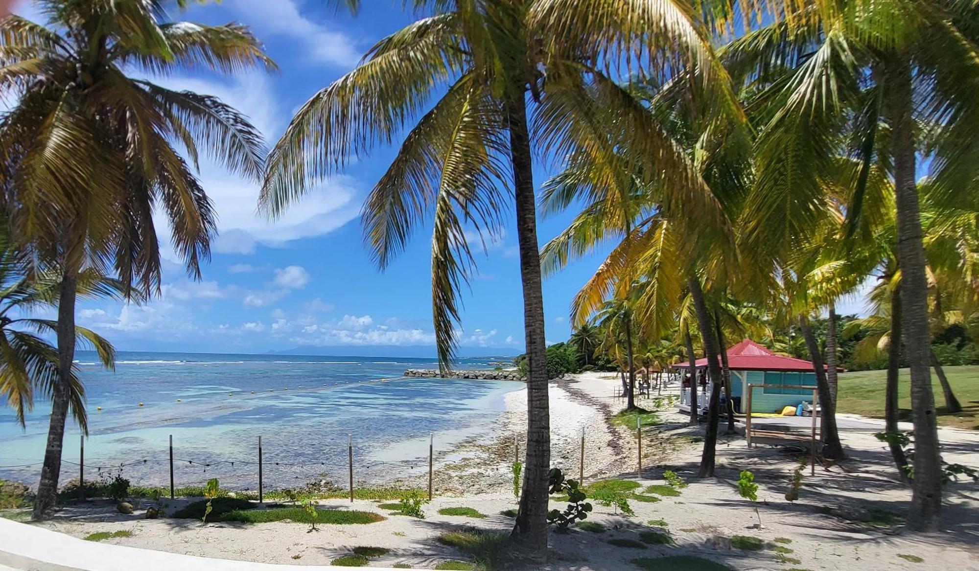Studios Angoreva Vue Mer - Cote Plage Ou Jardin - Village Vacances - Sainte-Anne Guadeloupe Courcelles Экстерьер фото