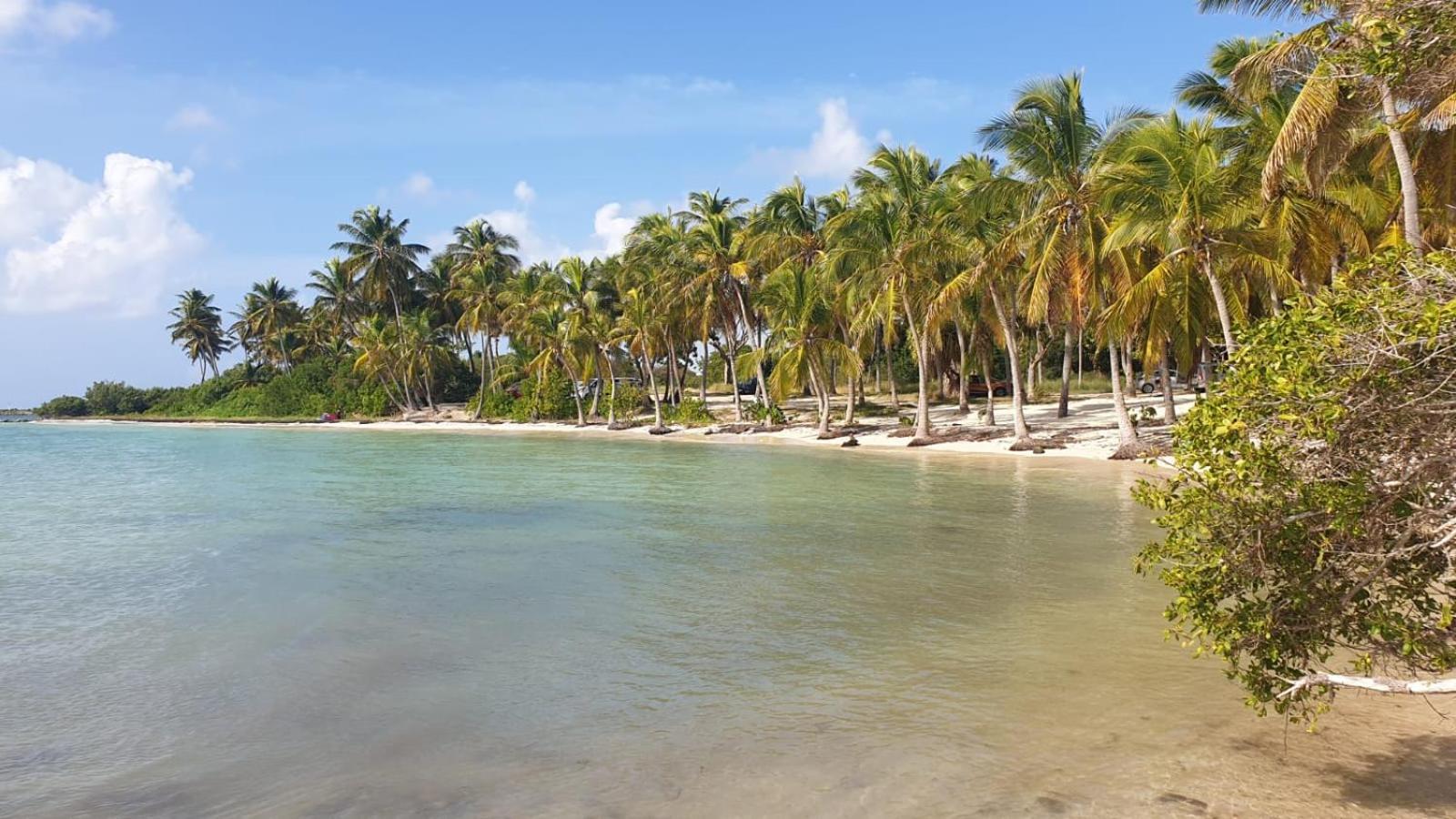 Studios Angoreva Vue Mer - Cote Plage Ou Jardin - Village Vacances - Sainte-Anne Guadeloupe Courcelles Экстерьер фото